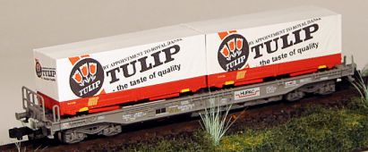 1309 Taschenwagen-Wechselbrücken Tulip Internet 1309 Taschenwagen-Wechselbrücken Tulip Internet