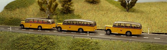 1582-1583-1584 lackieren und beschriften - Saurer Bus  - PTT - Internet gross