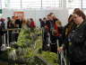 Besucher 4 grosses Interesse Internet