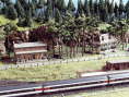 Kleiner Bahnhof am Wald