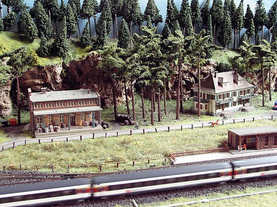 Kleiner Bahnhof am Wald
